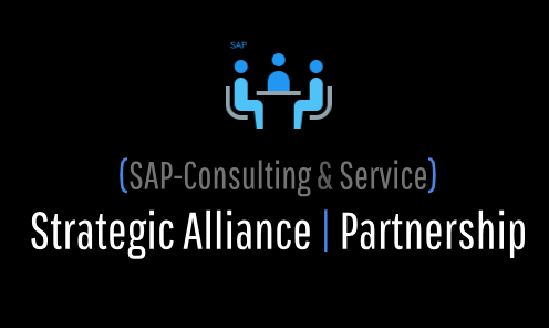 [SAP-101 Basic Package] SAP | Consulting Service (Package: Stage-1)